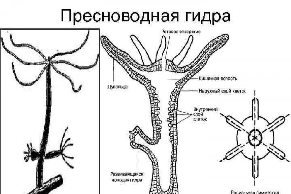 Кракен актуальное зеркало