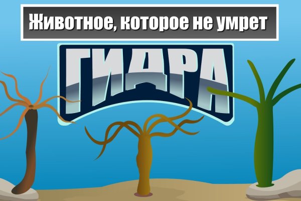 Свежие ссылки кракен